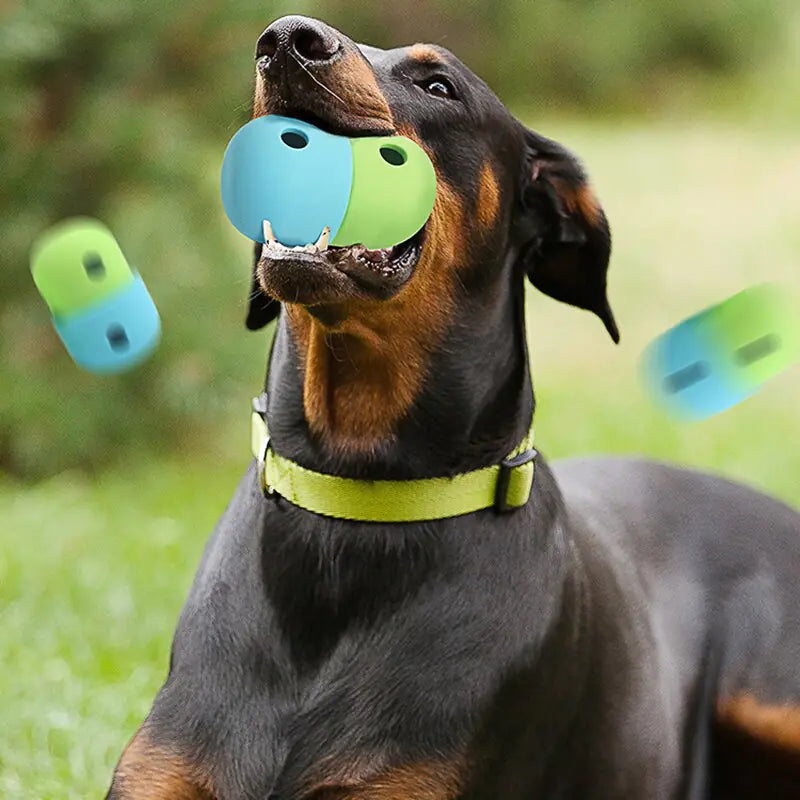 Lekkage voerbal voor honden